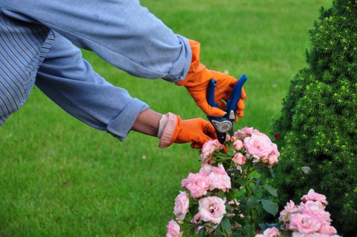 Gardening operative wearing PPE and using tools safely